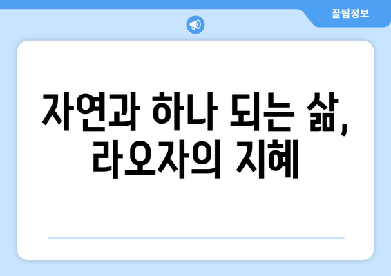 라오자의 삶의 지혜| 자연과 하나 되는 삶의 진리 | 노자, 도덕경, 자연철학, 삶의 의미