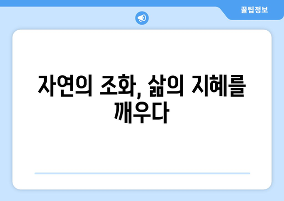 도덕경이 말하는 우주의 리듬과 조화| 삶의 지혜를 찾는 여정 | 도덕경, 우주, 리듬, 조화, 삶의 지혜