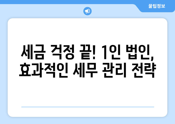 40대, 50대 중년층을 위한 성공적인 1인 법인 운영 가이드| 사업 아이템부터 세무까지 | 1인 사업, 창업, 법인 설립, 재무 관리