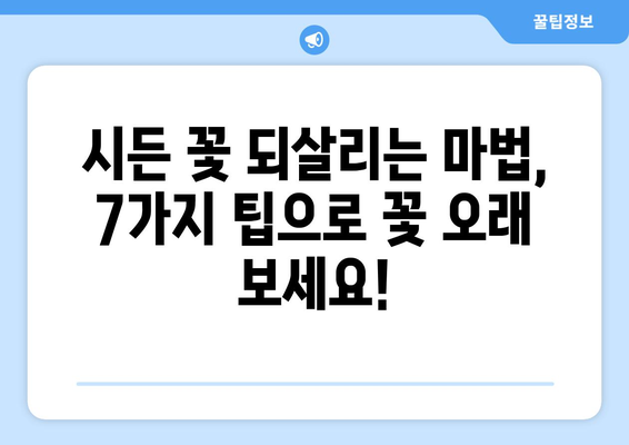 꽃병 관리의 모든 것| 꽃을 오래 피우는 7가지 팁 | 꽃 관리, 꽃병, 꽃 오래 보는 법, 꽃 선물