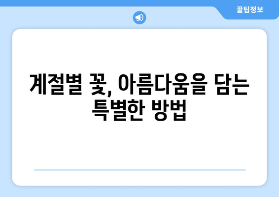 꽃병으로 계절을 담는 아름다움| 나만의 꽃꽂이, 계절 감상하기 | 꽃꽂이, 꽃병, 계절별 꽃, 인테리어