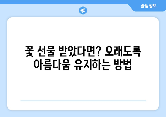 꽃병 관리의 모든 것| 꽃을 오래 피우는 7가지 팁 | 꽃 관리, 꽃병, 꽃 오래 보는 법, 꽃 선물