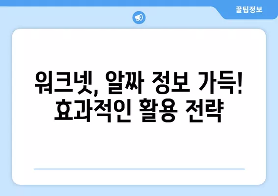 워크넷 구직 활용 완벽 가이드| 성공적인 취업을 위한 팁과 전략 | 워크넷, 구직, 취업, 팁, 전략