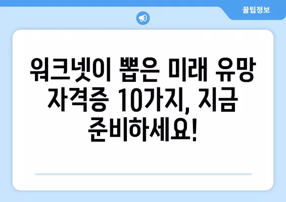 워크넷 추천! 미래 유망 자격증 10가지 | 취업, 전망, 자격증 공부