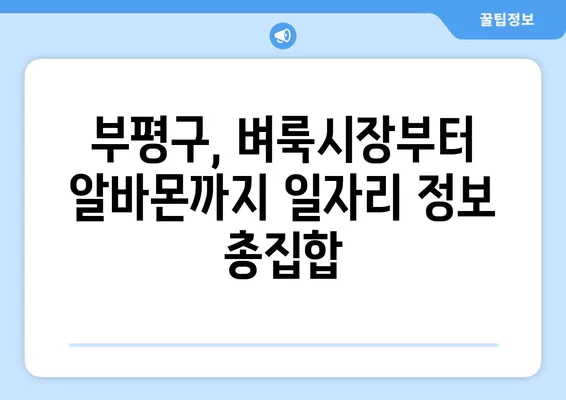 부평구 일자리 정보 한눈에 보기| 벼룩시장, 워크넷, 알바천국, 알바몬 활용 가이드 | 부평, 구인구직, 알바, 취업